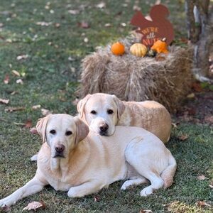 Meet your Posher, Holly